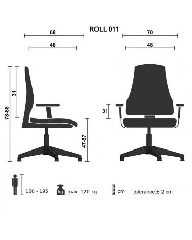 FAUTEUIL STYLE VERT