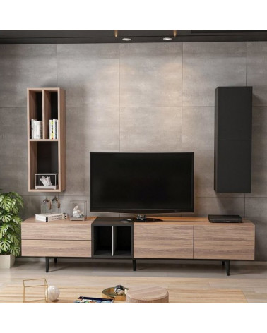 Todos los muebles de TV LOFT con leds