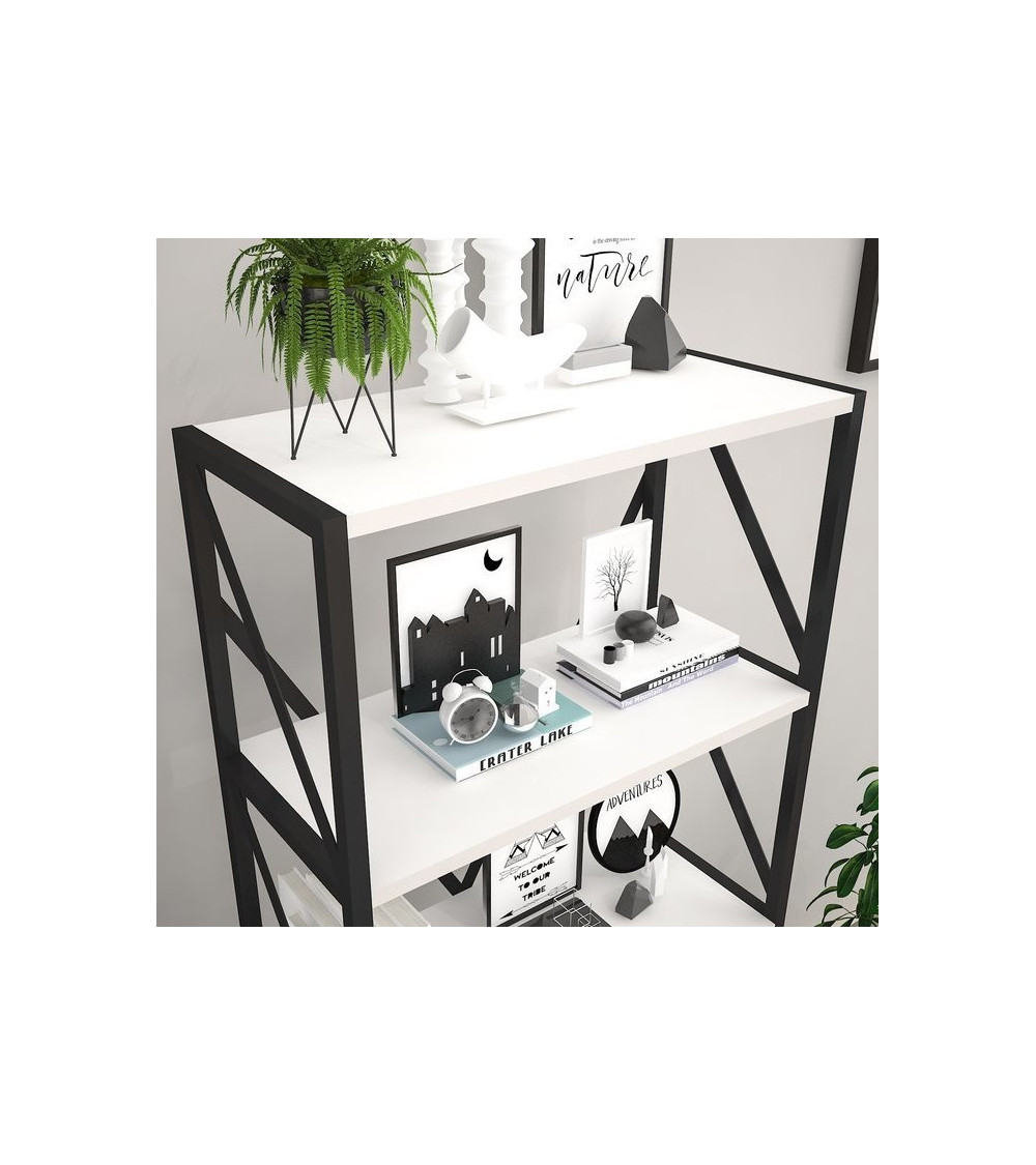 Bibliothèque ESER Blanc