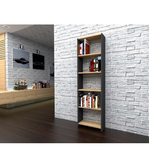 Biblioteca di PISE