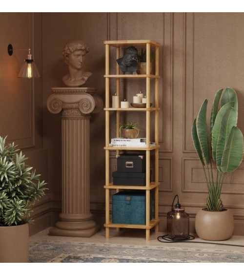 Bibliothèque DEMONTHA 40 x 162 CM